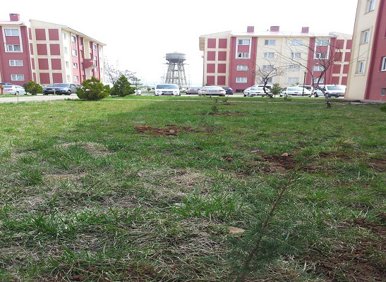 Kiğı 20 daireli polis lojman inşaatı işi – bingöl